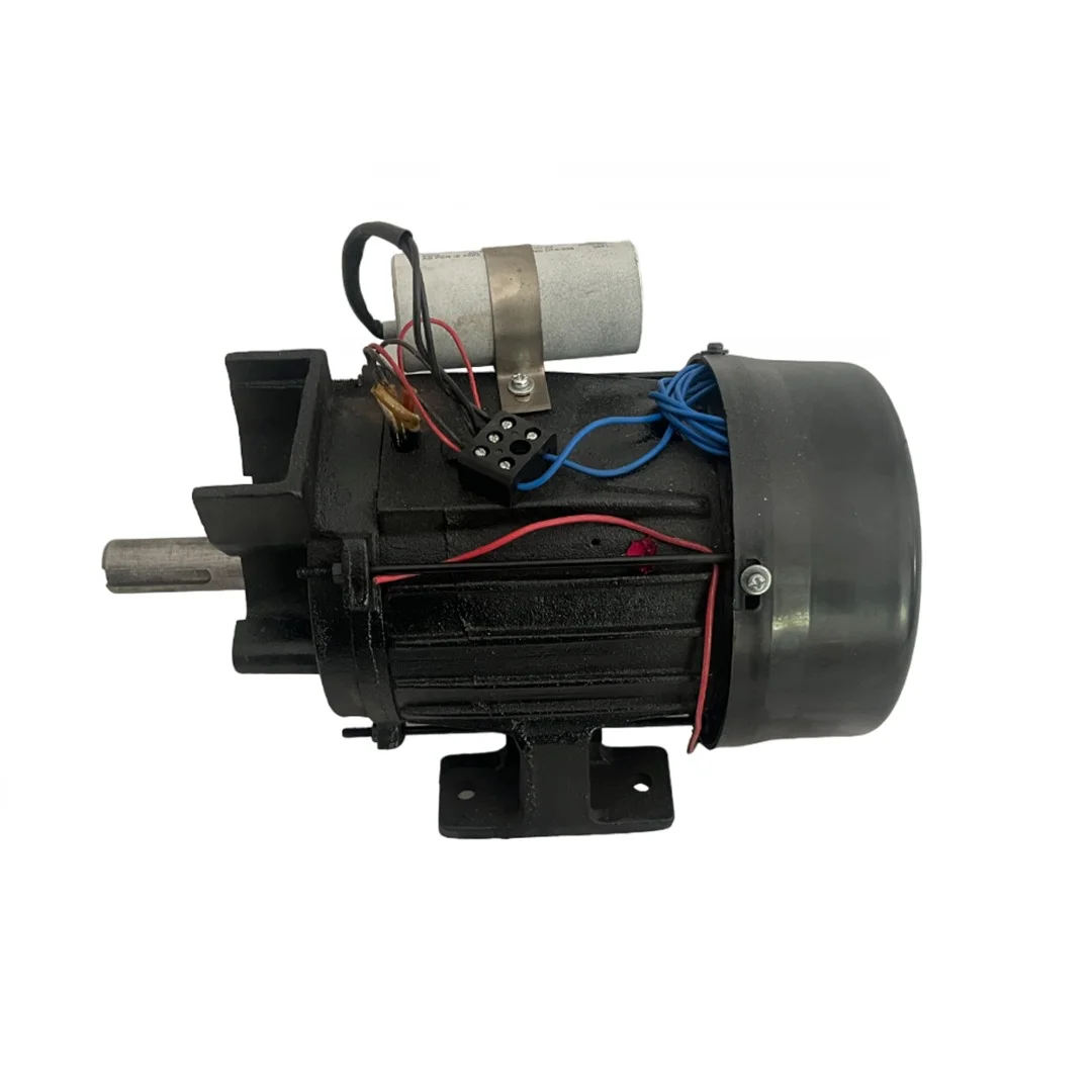 Electric Motor